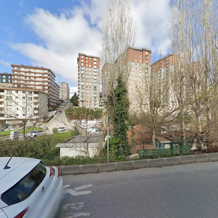 Fotoğraf 12
