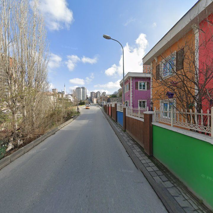 Fotoğraf 13