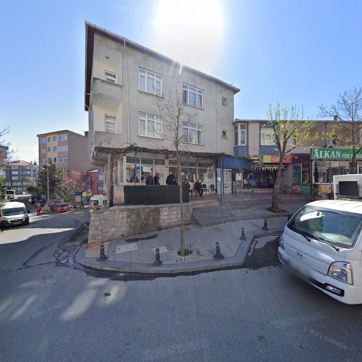 Fotoğraf 9