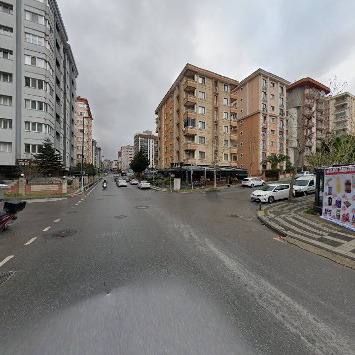 Fotoğraf 12