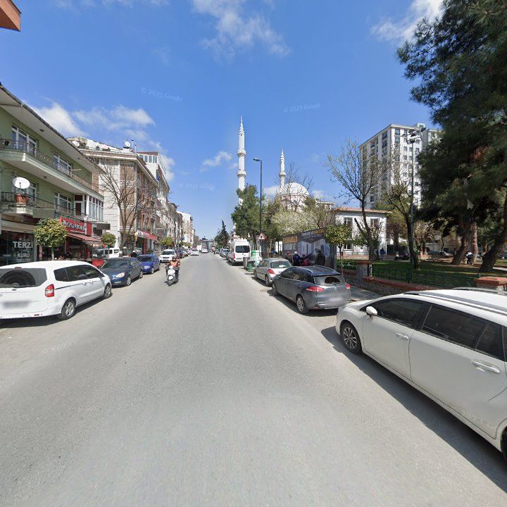 Fotoğraf 9