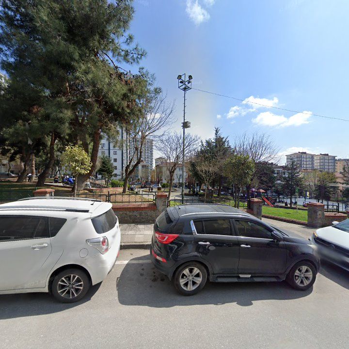 Fotoğraf 10