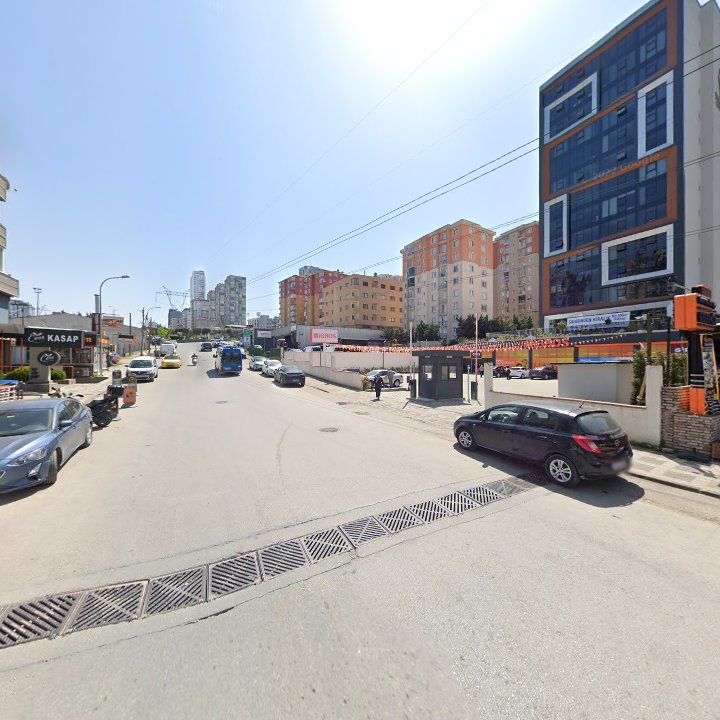 Fotoğraf 11