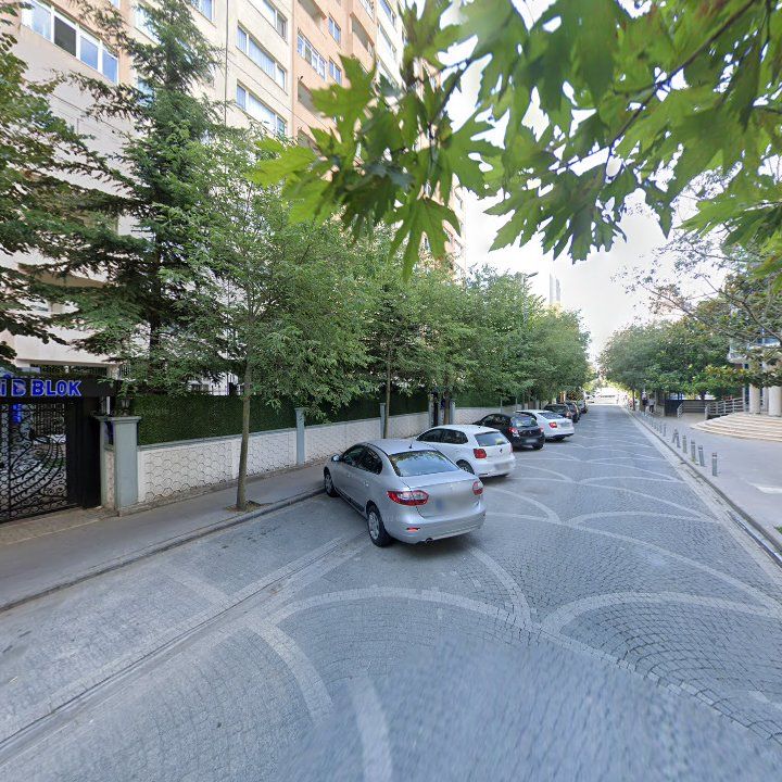 Fotoğraf 11