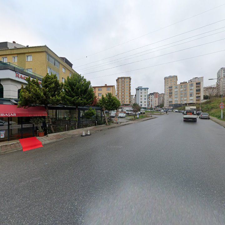 Fotoğraf 12