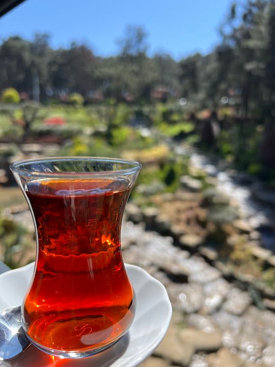 Fotoğraf 10