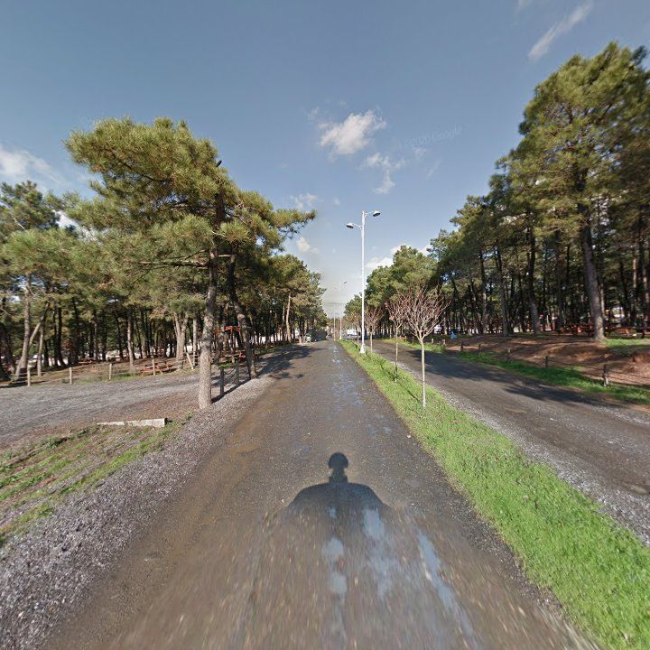 Fotoğraf 12