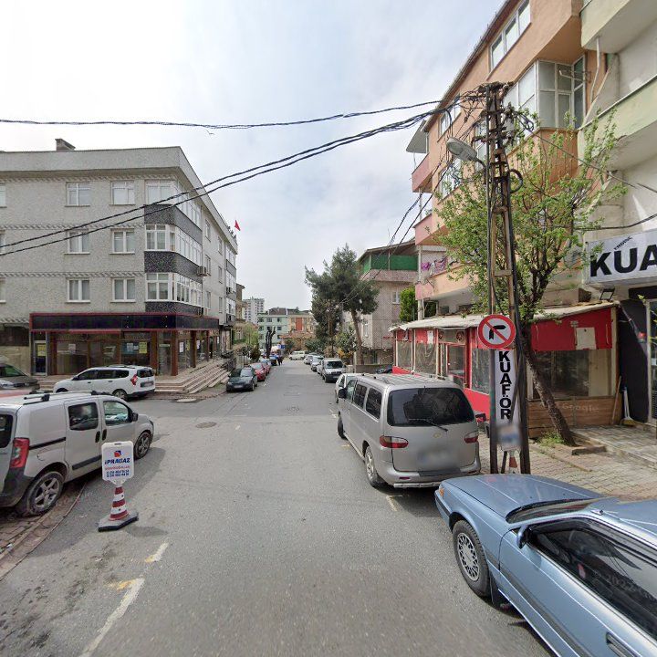 Fotoğraf 11