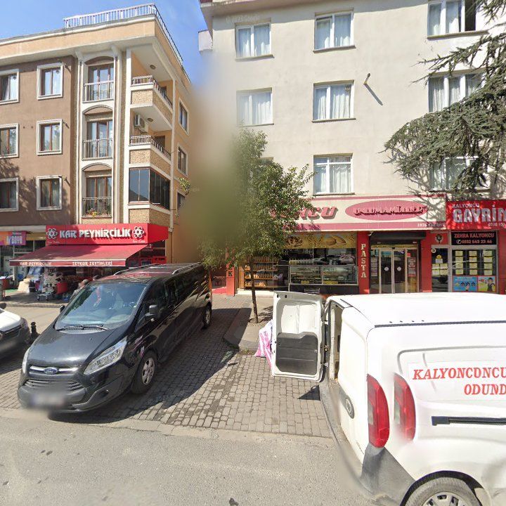 Fotoğraf 8