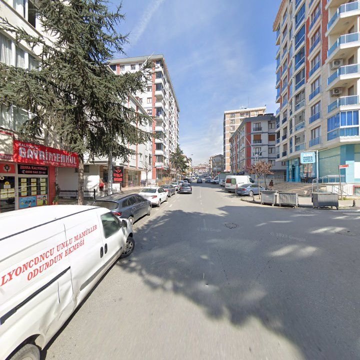 Fotoğraf 9