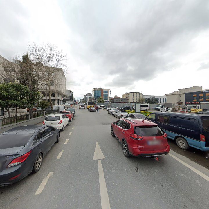 Fotoğraf 8