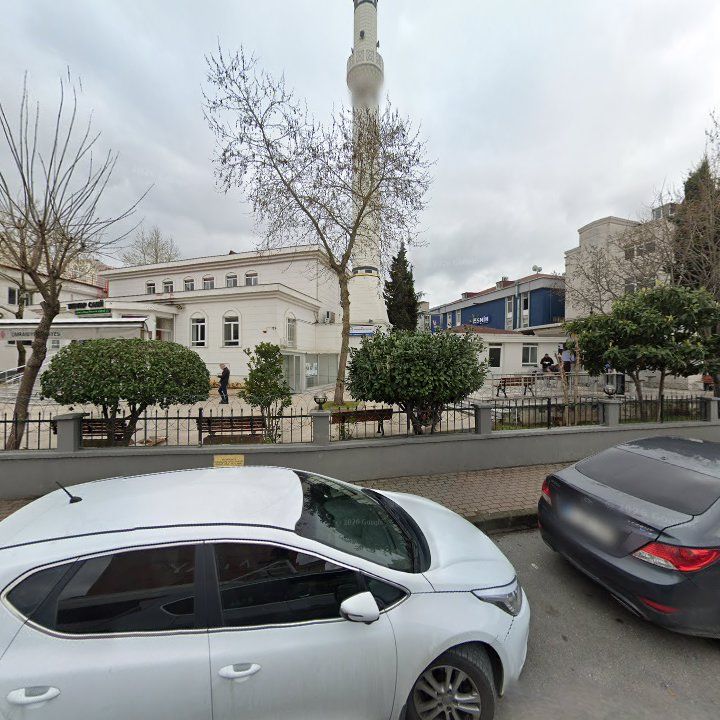 Fotoğraf 7