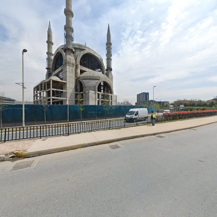 Fotoğraf 11