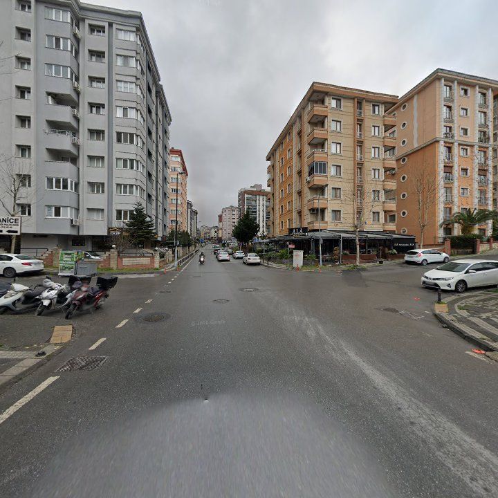 Fotoğraf 10
