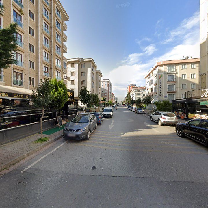 Fotoğraf 10