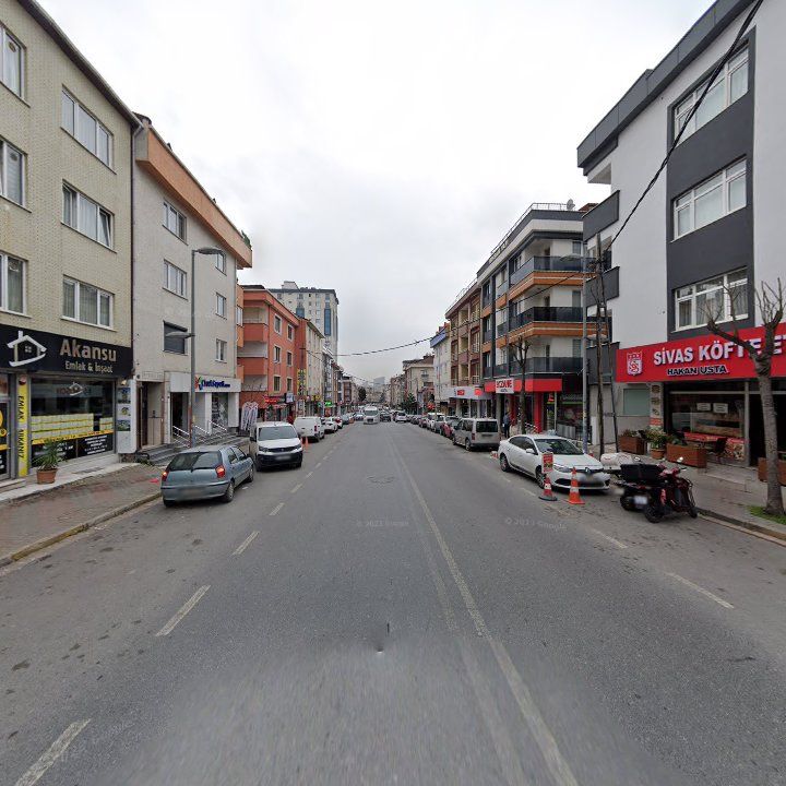Fotoğraf 11