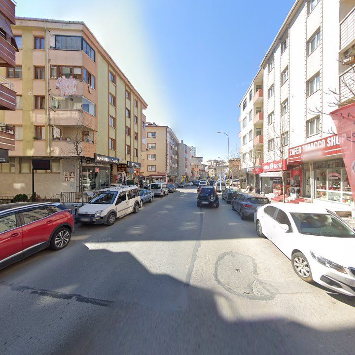 Fotoğraf 11
