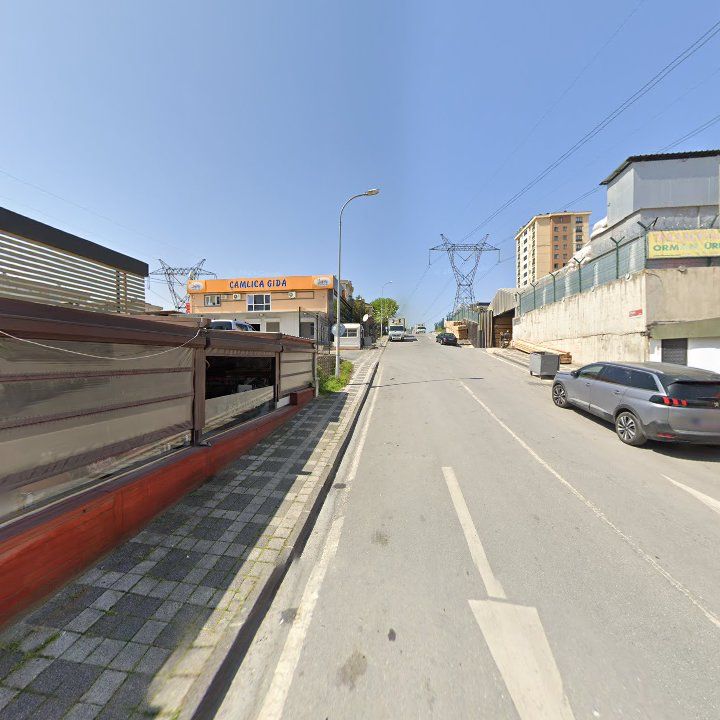Fotoğraf 9