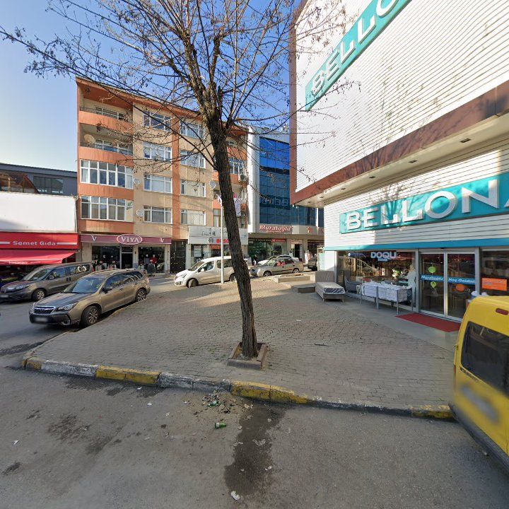 Fotoğraf 7
