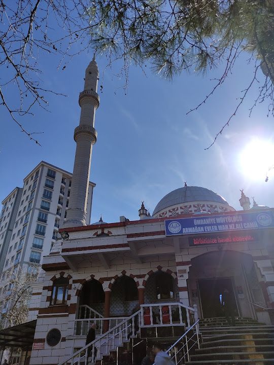 Özün Pide Ve Börek Salonu