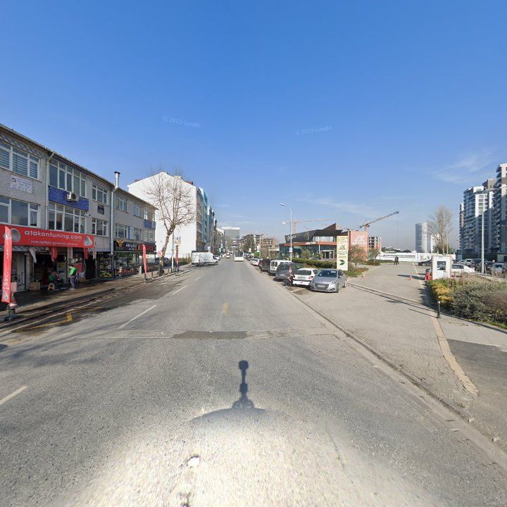 Fotoğraf 12