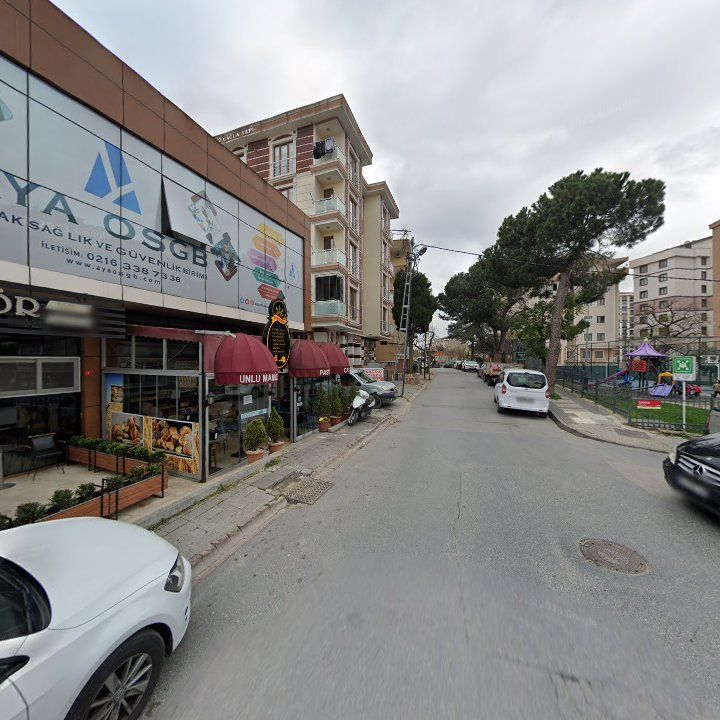 Fotoğraf 10