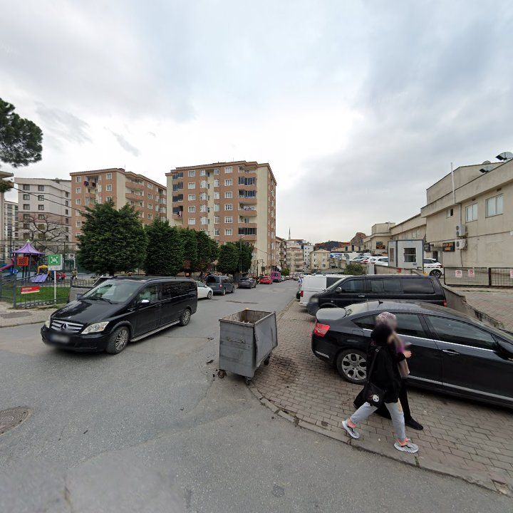 Fotoğraf 11