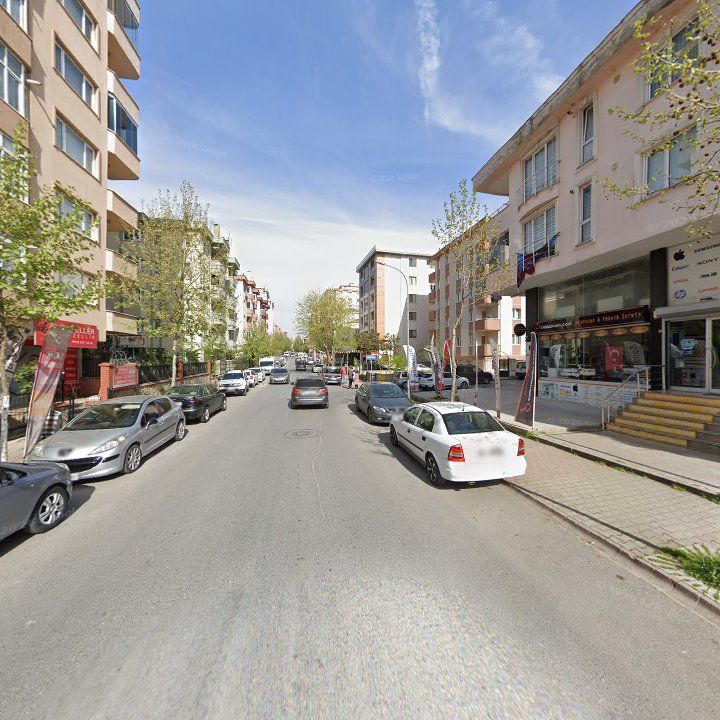 Fotoğraf 12