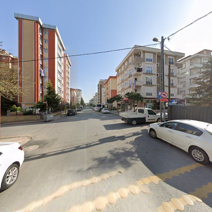 Fotoğraf 10