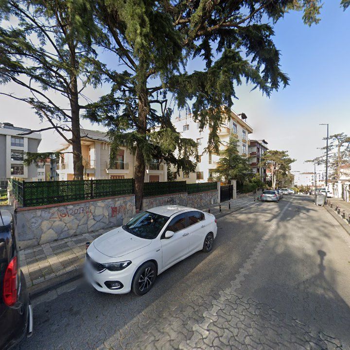 Fotoğraf 10