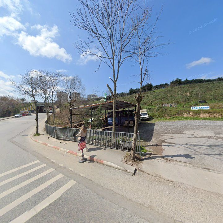 Fotoğraf 11