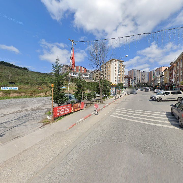 Fotoğraf 12