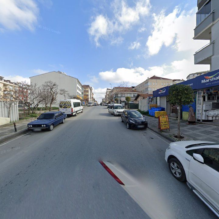 Fotoğraf 9