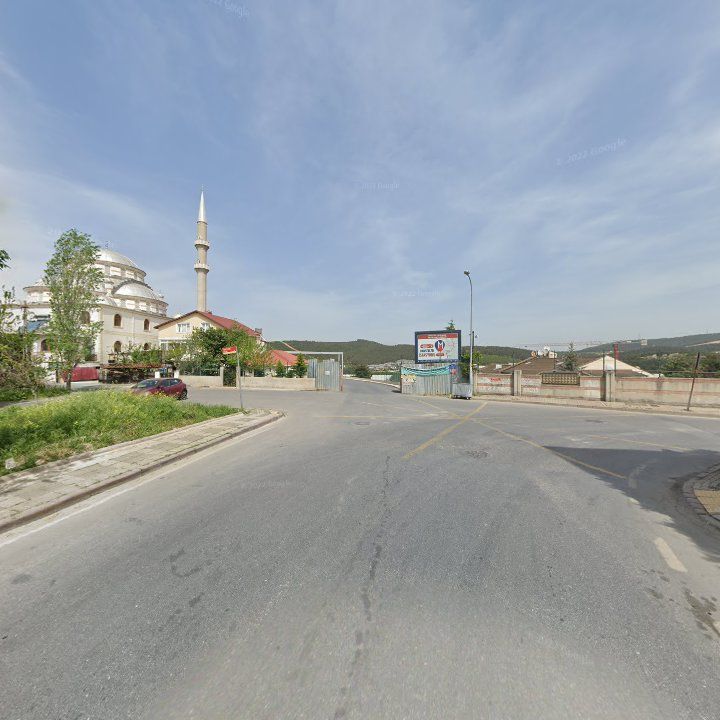 Fotoğraf 6