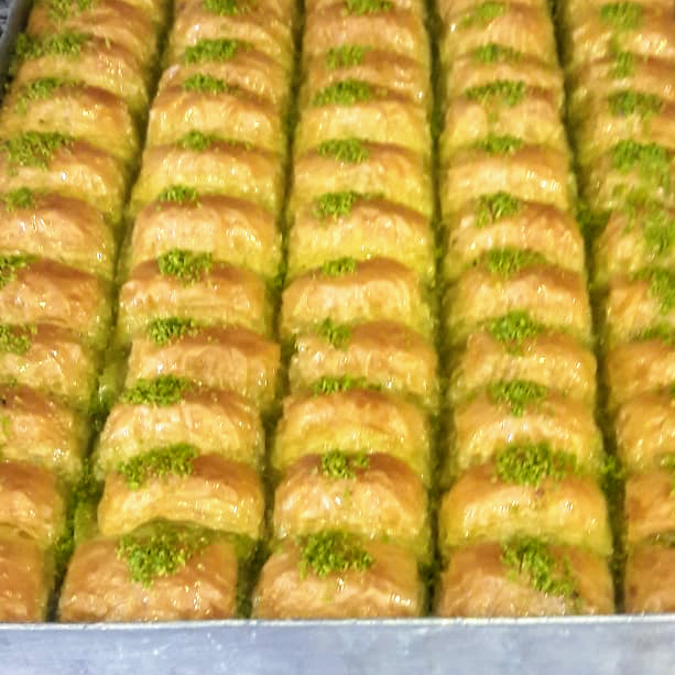 Fotoğraf 12