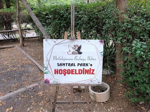 Yorum fotoğrafı 5