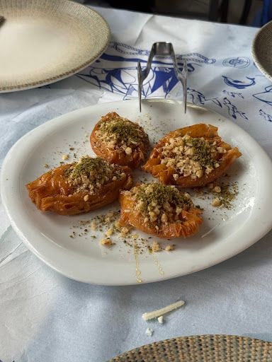 Yorum fotoğrafı 6
