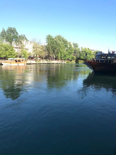 Yorum fotoğrafı 3