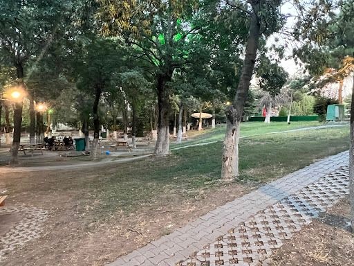Yorum fotoğrafı 8