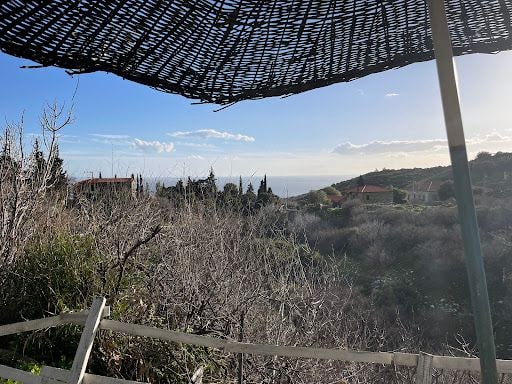 Fotoğraf 32