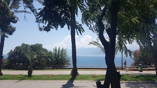 Yorum fotoğrafı 4