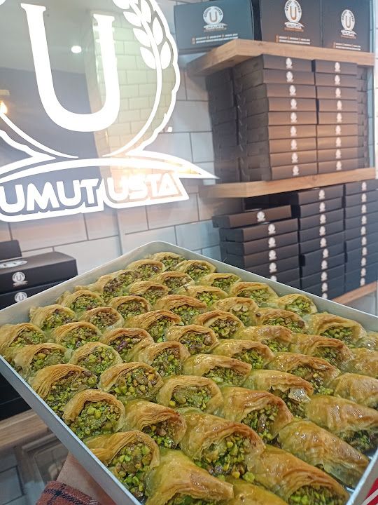 Fotoğraf 22