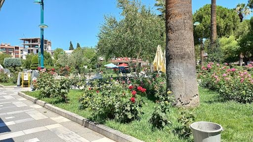 Fotoğraf 8