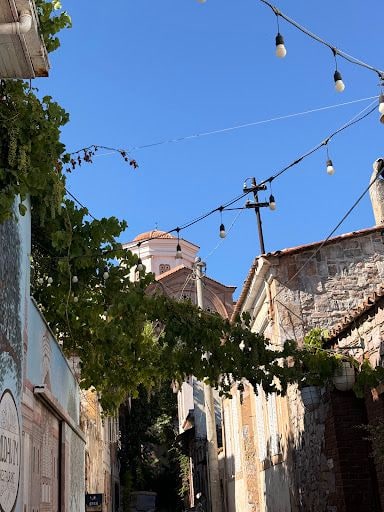 Fotoğraf 14