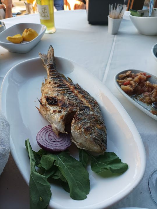 Fotoğraf 19