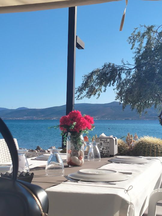 Fotoğraf 33