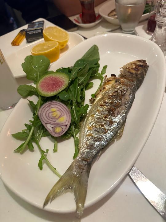 Fotoğraf 13