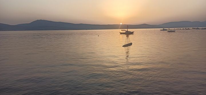 Fotoğraf 51