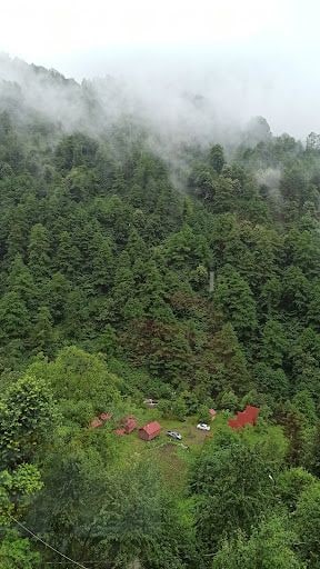 Fotoğraf 40