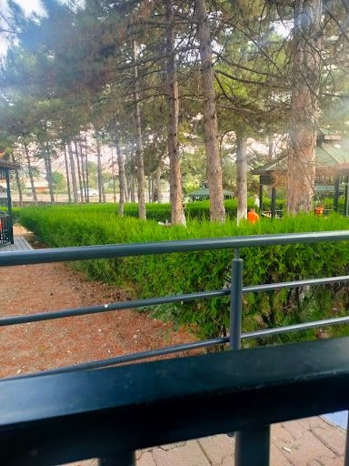 Yorum fotoğrafı 6